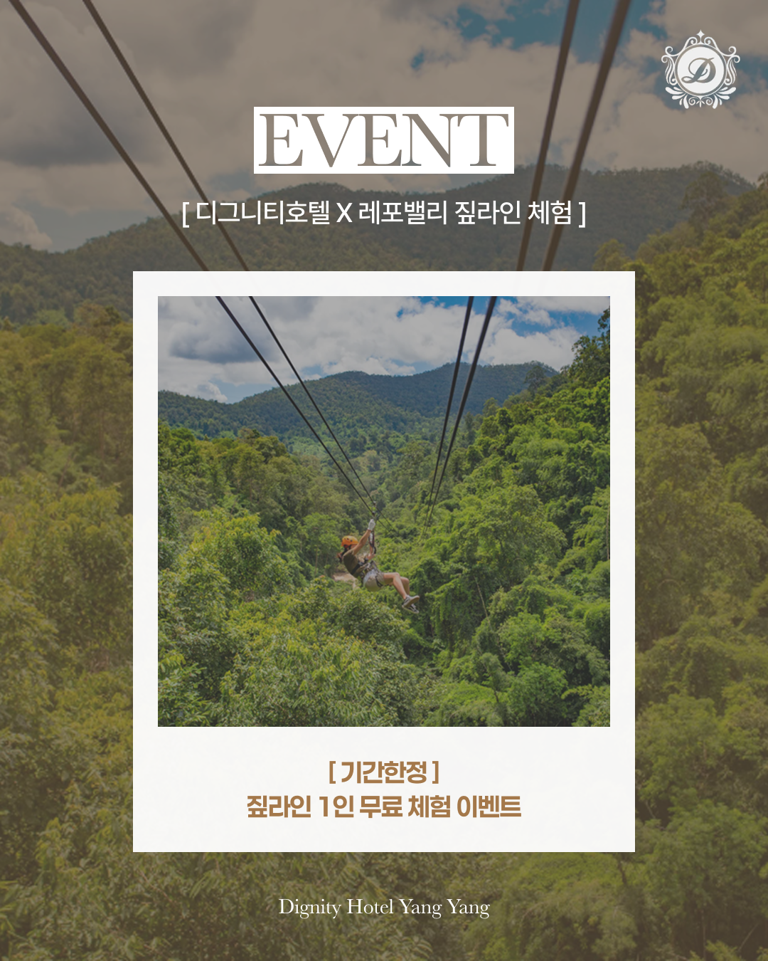 짚라인 1인 무료 체험 이벤트